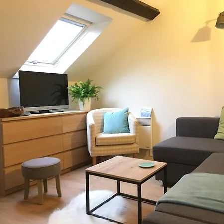 公寓 La Maison Berthelot 翁弗勒尔